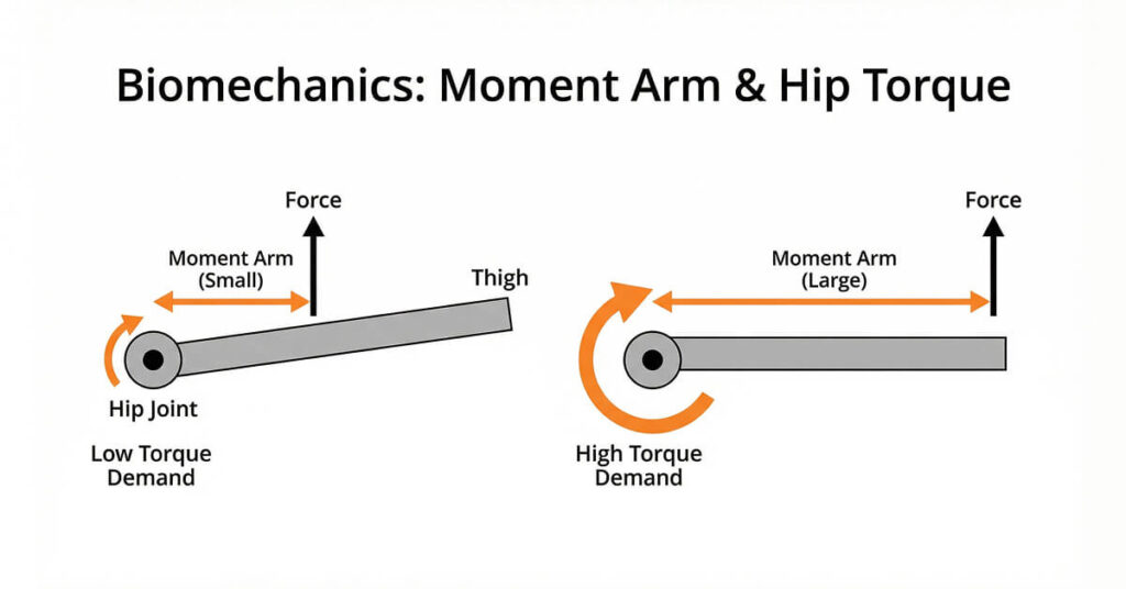 Diagram showing how moment arm length changes hip torque demand