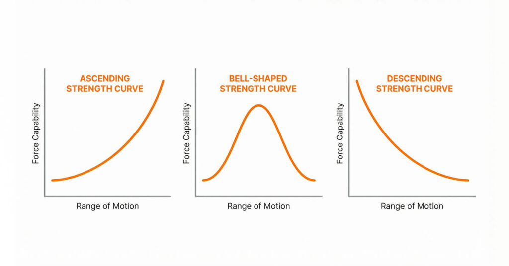 Ascending, descending, and bell-shaped strength curves across range of motion